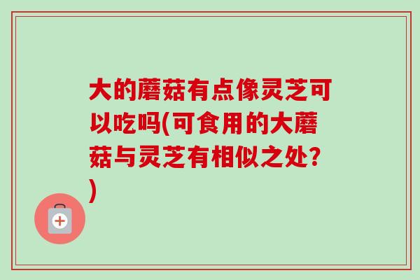 大的蘑菇有点像灵芝可以吃吗(可食用的大蘑菇与灵芝有相似之处?) 大的蘑菇有点像灵芝可以吃吗(可食用的大蘑菇与灵芝有相似之处?)
