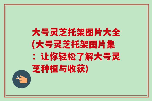 大号灵芝托架图片大全(大号灵芝托架图片集:让你轻松了解大号灵芝种植与收获) 大号灵芝托架图片大全(大号灵芝托架图片集:让你轻松了解大号灵芝种植与收获)