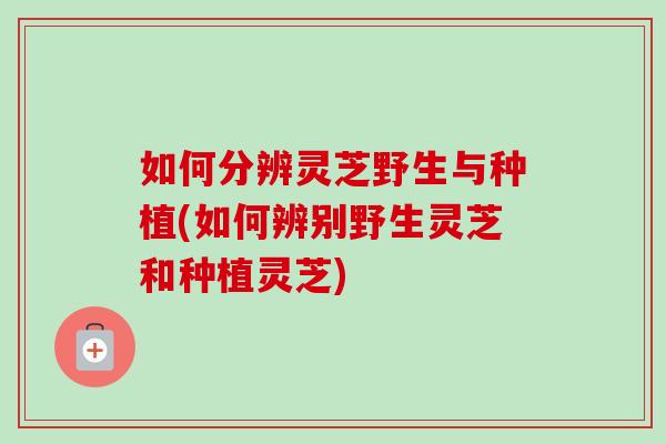 如何分辨灵芝野生与种植(如何辨别野生灵芝和种植灵芝) 如何分辨灵芝野生与种植(如何辨别野生灵芝和种植灵芝)