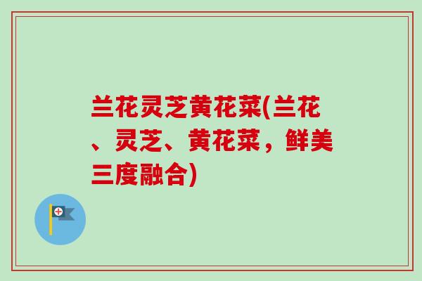 兰花灵芝黄花菜(兰花、灵芝、黄花菜，鲜美三度融合)