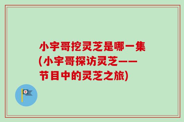 小宇哥挖灵芝是哪一集(小宇哥探访灵芝——节目中的灵芝之旅) 小宇哥挖灵芝是哪一集(小宇哥探访灵芝——节目中的灵芝之旅)
