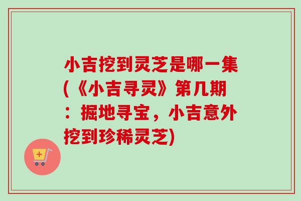 小吉挖到灵芝是哪一集(《小吉寻灵》第几期：掘地寻宝，小吉意外挖到珍稀灵芝)