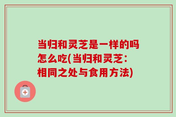 当归和灵芝是一样的吗怎么吃(当归和灵芝：相同之处与食用方法)