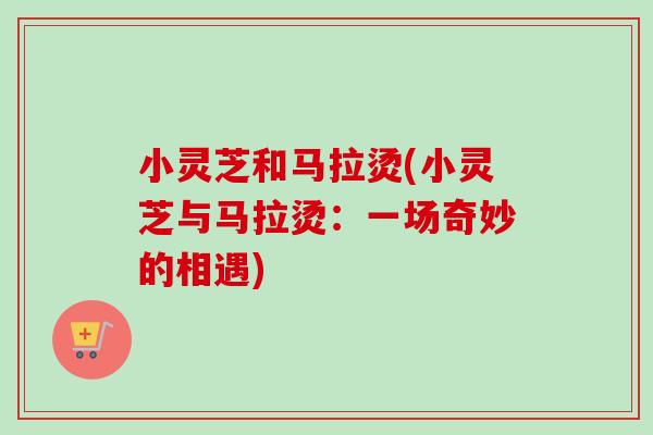 小灵芝和马拉烫(小灵芝与马拉烫:一场奇妙的相遇) 小灵芝和马拉烫(小灵芝与马拉烫:一场奇妙的相遇)