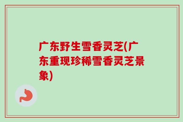 广东野生雪香灵芝(广东重现珍稀雪香灵芝景象) 广东野生雪香灵芝(广东重现珍稀雪香灵芝景象)