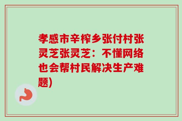 孝感市辛榨乡张付村张灵芝张灵芝：不懂网络也会帮村民解决生产难题)