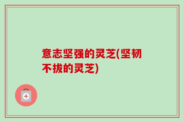意志坚强的灵芝(坚韧不拔的灵芝)