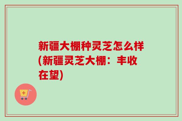 新疆大棚种灵芝怎么样(新疆灵芝大棚:丰收在望) 新疆大棚种灵芝怎么样(新疆灵芝大棚:丰收在望)