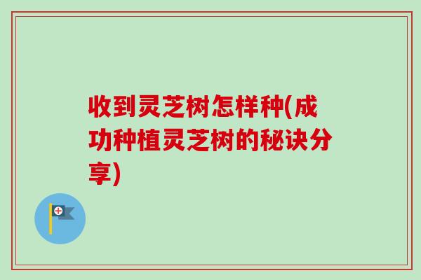 收到灵芝树怎样种(成功种植灵芝树的秘诀分享)
