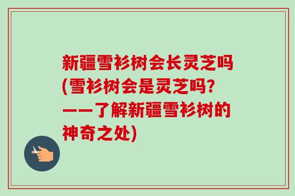 新疆雪衫树会长灵芝吗(雪衫树会是灵芝吗?——了解新疆雪衫树的神奇之处) 新疆雪衫树会长灵芝吗(雪衫树会是灵芝吗?——了解新疆雪衫树的神奇之处)