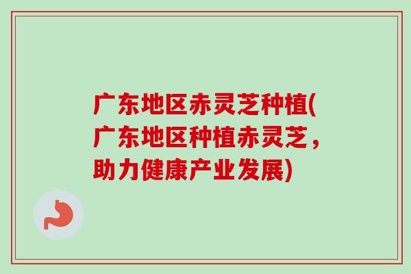广东地区赤灵芝种植(广东地区种植赤灵芝,助力健康产业发展) 广东地区赤灵芝种植(广东地区种植赤灵芝,助力健康产业发展)