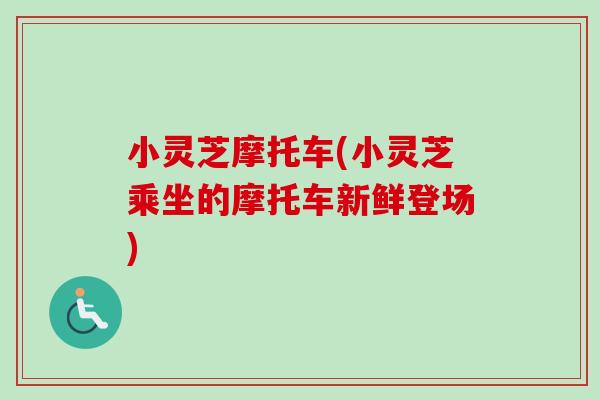 小灵芝摩托车(小灵芝乘坐的摩托车新鲜登场) 小灵芝摩托车(小灵芝乘坐的摩托车新鲜登场)
