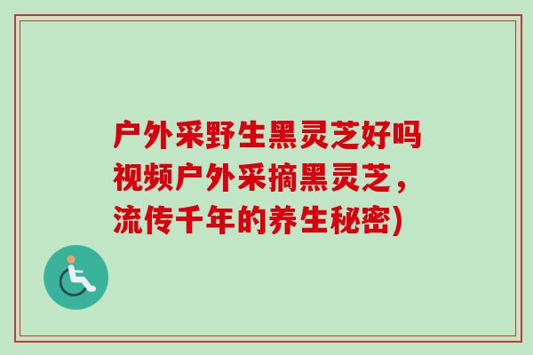 户外采野生黑灵芝好吗视频户外采摘黑灵芝,流传千年的养生秘密) 户外采野生黑灵芝好吗视频户外采摘黑灵芝,流传千年的养生秘密)