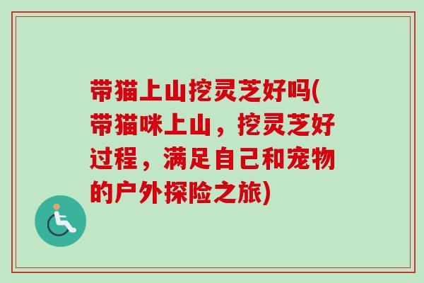 带猫上山挖灵芝好吗(带猫咪上山，挖灵芝好过程，满足自己和宠物的户外探险之旅)