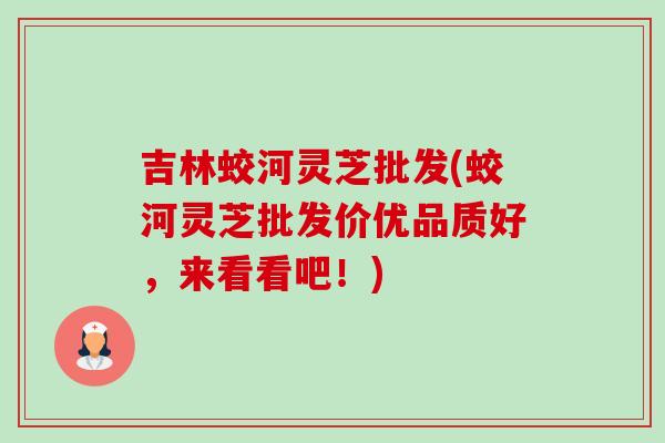 吉林蛟河灵芝批发(蛟河灵芝批发价优品质好，来看看吧！)