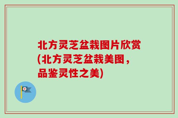 北方灵芝盆栽图片欣赏(北方灵芝盆栽美图,品鉴灵性之美) 北方灵芝盆栽图片欣赏(北方灵芝盆栽美图,品鉴灵性之美)