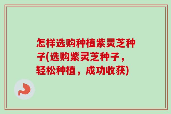 怎样选购种植紫灵芝种子(选购紫灵芝种子,轻松种植,成功收获) 怎样选购种植紫灵芝种子(选购紫灵芝种子,轻松种植,成功收获)