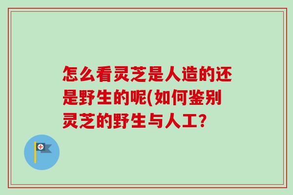 怎么看灵芝是人造的还是野生的呢(如何鉴别灵芝的野生与人工? 怎么看灵芝是人造的还是野生的呢(如何鉴别灵芝的野生与人工?
