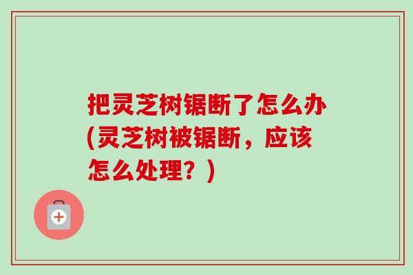 把灵芝树锯断了怎么办(灵芝树被锯断，应该怎么处理？)