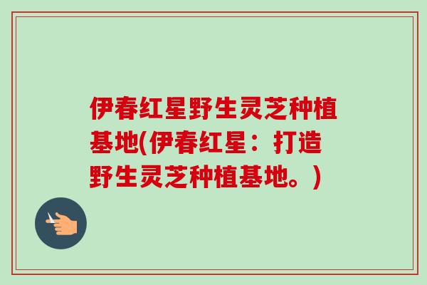 伊春红星野生灵芝种植基地(伊春红星:打造野生灵芝种植基地。) 伊春红星野生灵芝种植基地(伊春红星:打造野生灵芝种植基地。)