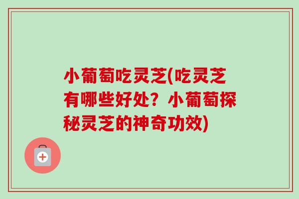 小葡萄吃灵芝(吃灵芝有哪些好处?小葡萄探秘灵芝的神奇功效) 小葡萄吃灵芝(吃灵芝有哪些好处?小葡萄探秘灵芝的神奇功效)