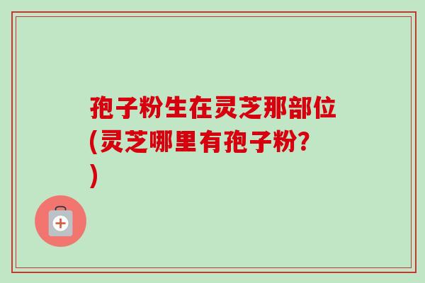 孢子粉生在灵芝那部位(灵芝哪里有孢子粉?) 孢子粉生在灵芝那部位(灵芝哪里有孢子粉?)