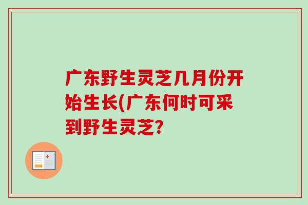 广东野生灵芝几月份开始生长(广东何时可采到野生灵芝? 广东野生灵芝几月份开始生长(广东何时可采到野生灵芝?