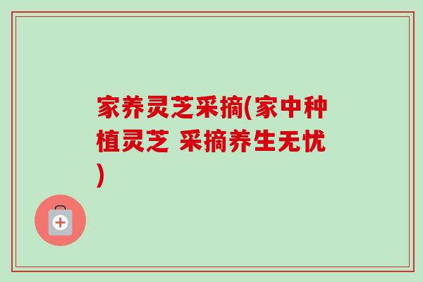 家养灵芝采摘(家中种植灵芝 采摘养生无忧) 家养灵芝采摘(家中种植灵芝 采摘养生无忧)