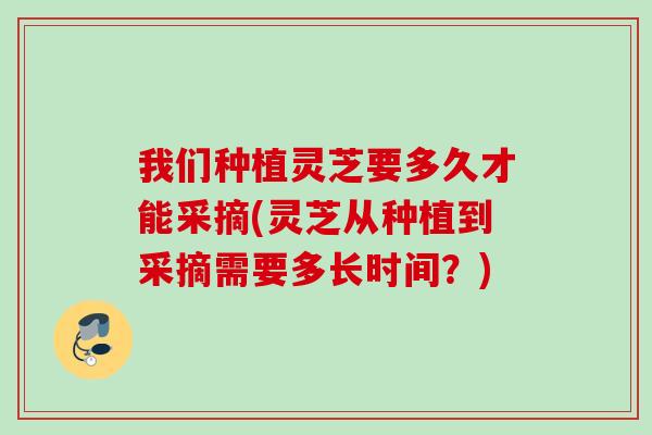 我们种植灵芝要多久才能采摘(灵芝从种植到采摘需要多长时间?) 我们种植灵芝要多久才能采摘(灵芝从种植到采摘需要多长时间?)