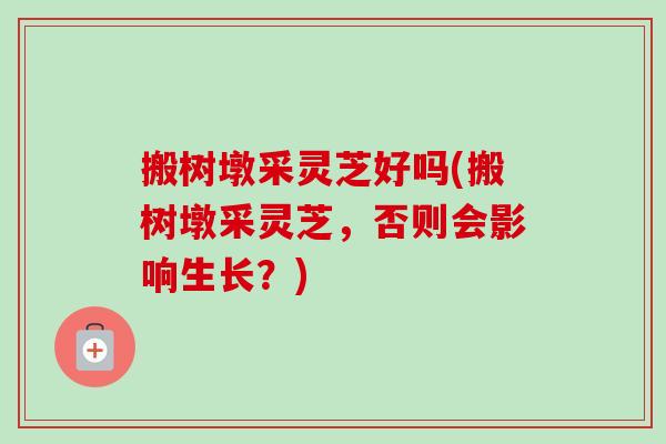 搬树墩采灵芝好吗(搬树墩采灵芝,否则会影响生长?) 搬树墩采灵芝好吗(搬树墩采灵芝,否则会影响生长?)