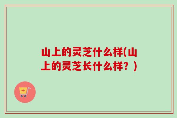 山上的灵芝什么样(山上的灵芝长什么样?) 山上的灵芝什么样(山上的灵芝长什么样?)