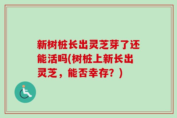 新树桩长出灵芝芽了还能活吗(树桩上新长出灵芝,能否幸存?) 新树桩长出灵芝芽了还能活吗(树桩上新长出灵芝,能否幸存?)