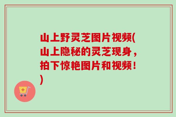山上野灵芝图片视频(山上隐秘的灵芝现身，拍下惊艳图片和视频！)