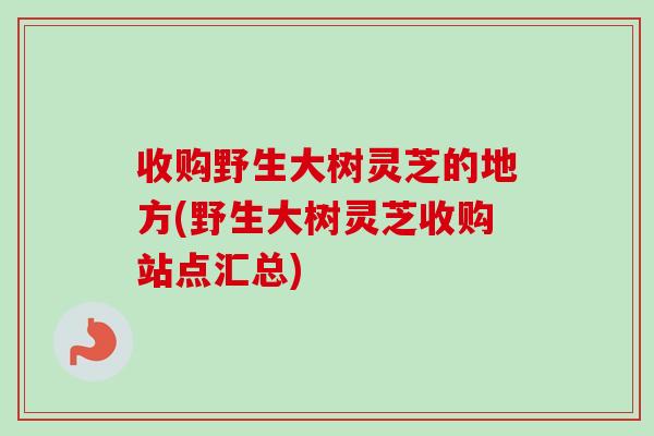 收购野生大树灵芝的地方(野生大树灵芝收购站点汇总)