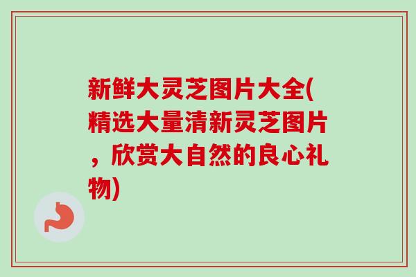 新鲜大灵芝图片大全(精选大量清新灵芝图片,欣赏大自然的良心礼物) 新鲜大灵芝图片大全(精选大量清新灵芝图片,欣赏大自然的良心礼物)