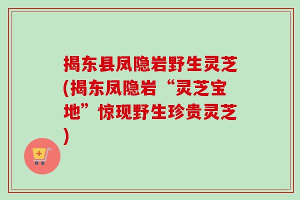 揭东县凤隐岩野生灵芝(揭东凤隐岩“灵芝宝地”惊现野生珍贵灵芝) 揭东县凤隐岩野生灵芝(揭东凤隐岩“灵芝宝地”惊现野生珍贵灵芝)
