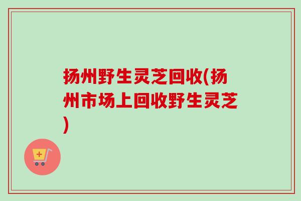 扬州野生灵芝回收(扬州市场上回收野生灵芝) 扬州野生灵芝回收(扬州市场上回收野生灵芝)