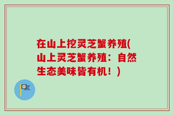 在山上挖灵芝蟹养殖(山上灵芝蟹养殖:自然生态美味皆有机!) 在山上挖灵芝蟹养殖(山上灵芝蟹养殖:自然生态美味皆有机!)