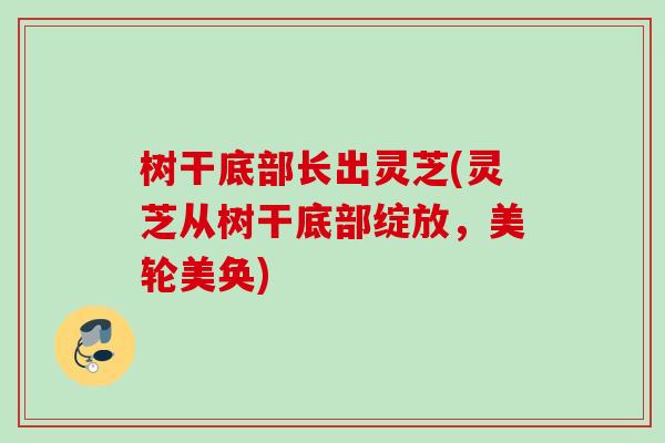 树干底部长出灵芝(灵芝从树干底部绽放,美轮美奂) 树干底部长出灵芝(灵芝从树干底部绽放,美轮美奂)
