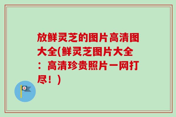 放鲜灵芝的图片高清图大全(鲜灵芝图片大全:高清珍贵照片一网打尽!) 放鲜灵芝的图片高清图大全(鲜灵芝图片大全:高清珍贵照片一网打尽!)