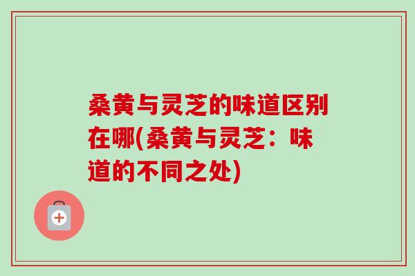 桑黄与灵芝的味道区别在哪(桑黄与灵芝：味道的不同之处)