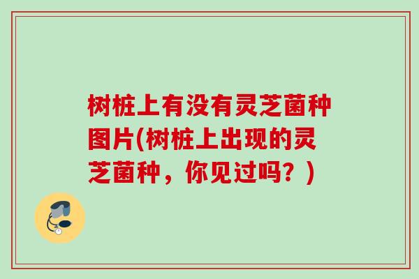 树桩上有没有灵芝菌种图片(树桩上出现的灵芝菌种，你见过吗？)
