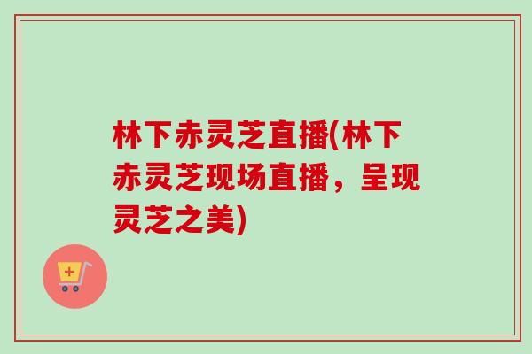林下赤灵芝直播(林下赤灵芝现场直播,呈现灵芝之美) 林下赤灵芝直播(林下赤灵芝现场直播,呈现灵芝之美)