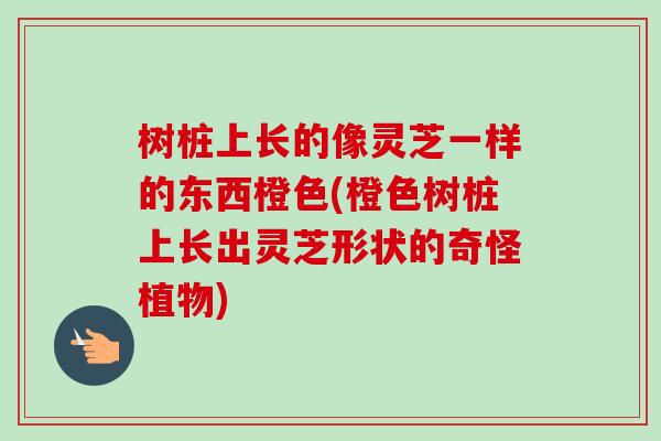 树桩上长的像灵芝一样的东西橙色(橙色树桩上长出灵芝形状的奇怪植物) 树桩上长的像灵芝一样的东西橙色(橙色树桩上长出灵芝形状的奇怪植物)