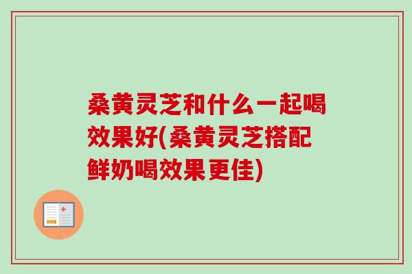 桑黄灵芝和什么一起喝效果好(桑黄灵芝搭配鲜奶喝效果更佳)