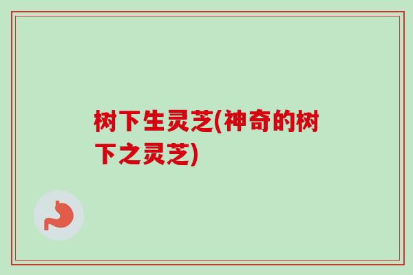 树下生灵芝(神奇的树下之灵芝)