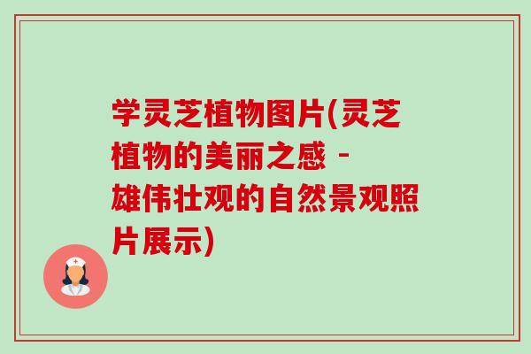 学灵芝植物图片(灵芝植物的美丽之感 - 雄伟壮观的自然景观照片展示) 学灵芝植物图片(灵芝植物的美丽之感 - 雄伟壮观的自然景观照片展示)