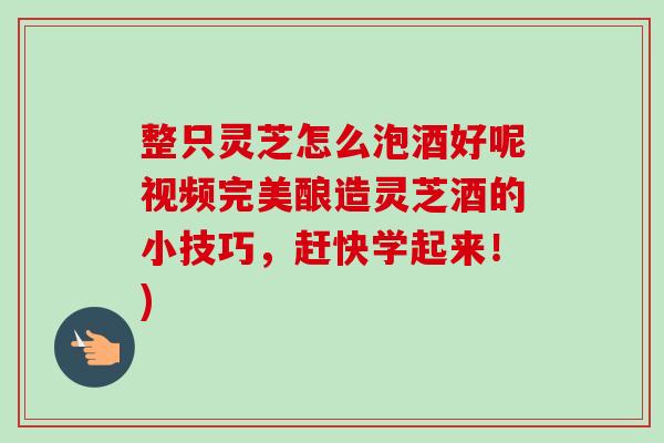 整只灵芝怎么泡酒好呢视频完美酿造灵芝酒的小技巧，赶快学起来！)