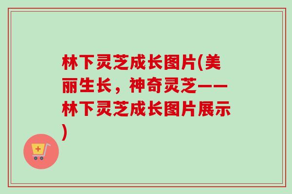 林下灵芝成长图片(美丽生长，神奇灵芝——林下灵芝成长图片展示)