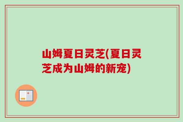 山姆夏日灵芝(夏日灵芝成为山姆的新宠) 山姆夏日灵芝(夏日灵芝成为山姆的新宠)